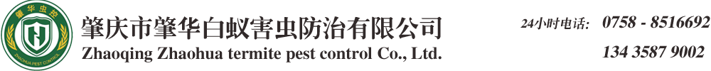 肇庆白蚁防治公司/肇庆杀虫公司/肇庆白蚁防治中心/肇庆白蚁专家-肇庆市肇华白蚁害虫防治有限公司