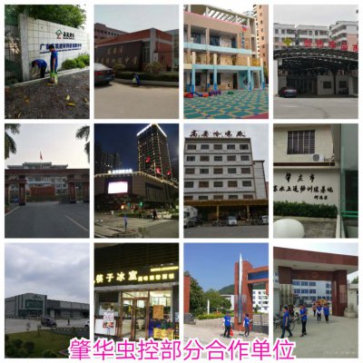 成功案例部分客户