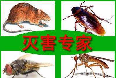 服务项目与范围