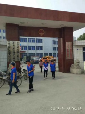 肇庆市专业杀虫公司、白蚁、害虫、老鼠