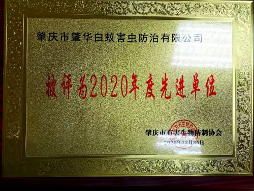 2020年度先进单位