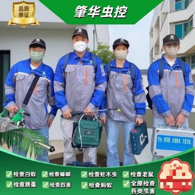 端州上门灭白蚁
